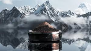 Top 10 Shilajit Brands In Pakistan 2026